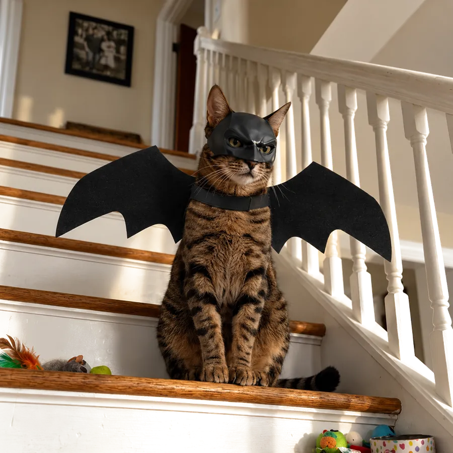 BatCat™ Cat Costume view 2